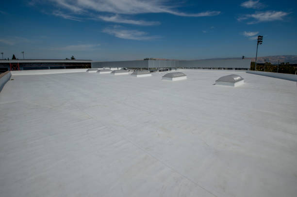 Best Slate Roofing  in Doa Ana, NM