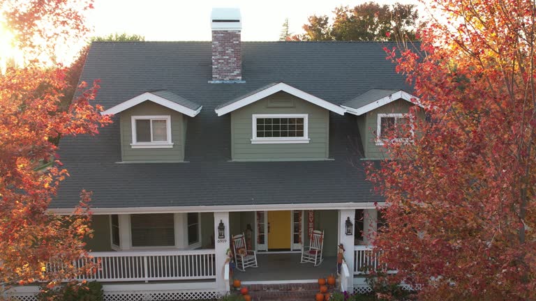 Best Chimney Flashing Repair  in Doa Ana, NM